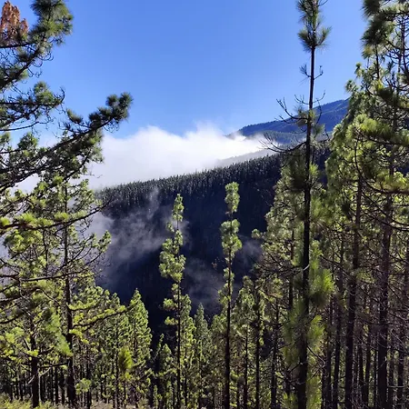 Mng-apart Studia Mareverde D-15 Apartment *