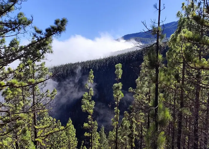 Mng-apart Studia Mareverde D-15 Апартаменты *